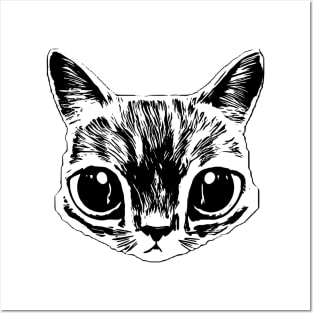 Cat Posters and Art